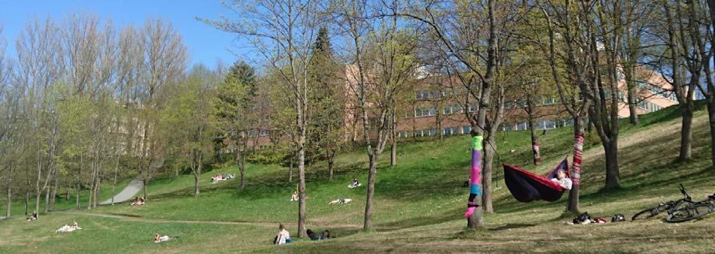 Folkeaksjonen Bevar Høyskoleparken presenterer i dette høringsinnspillet en klar og tydelig «folkets røst».