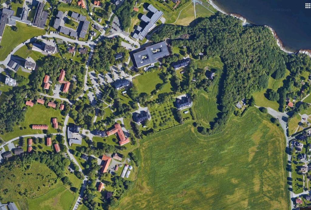 Figur 10: Flyfoto av Østmarka. Vi ser hvordan trevegetasjonen har vokst til, mens bærhagen er borte.