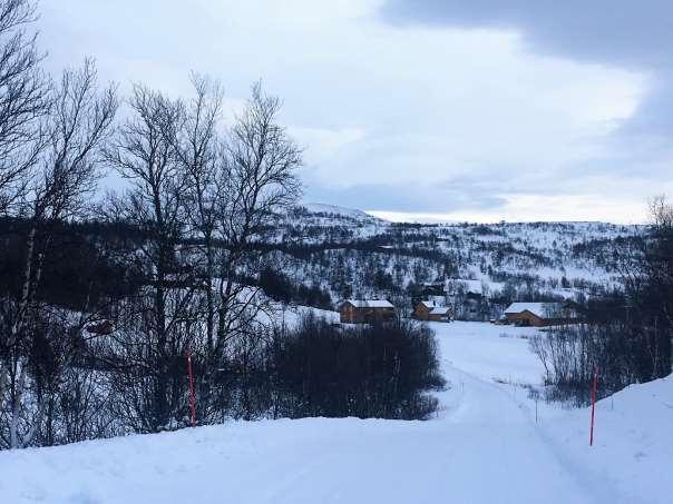 70 Tronsmyra gård med hyttebebyggelse rundt. 7 DJUPSJØEN-HITTERSJØEN Beskrivelse Områdene fra Storhittersjøen, langs med Fv31 med tilhørende veisystem både på nordsiden og sørsiden av veien.