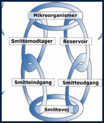 Smittemåter Kontaktsmitte -Direkte fysisk kontakt -Indirekte via for eksempel personales hender -Fekal-oral, ofte via hender Dråpesmitte Luftbåren smitte Blodsmitte eller inokulasjonssmitte Lovverk