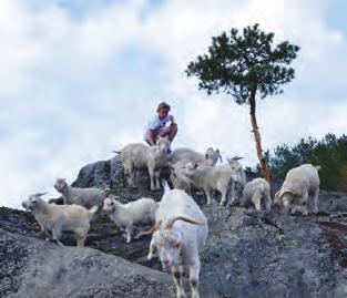 Drangedal Næringshage har kontor på Kåsmyra kompetansesenter.