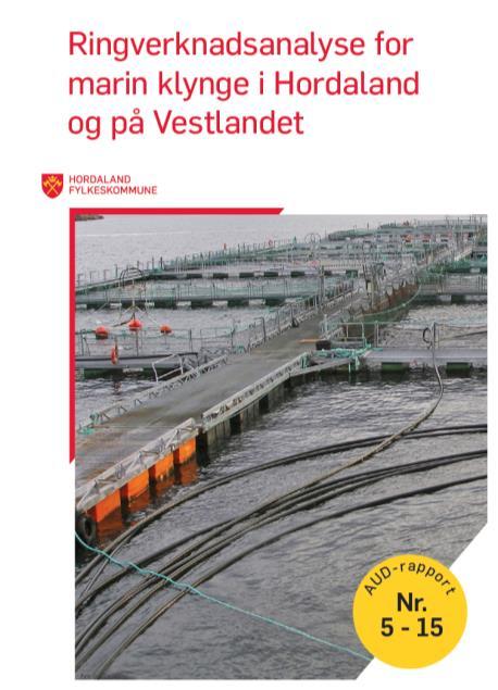 Ringverknadar av havnæringane Basert på 2013-tal. Ei rad kompliserte føresetnadar. Usikre resultat! Ikkje direkte samanliknbart mellom næringar.