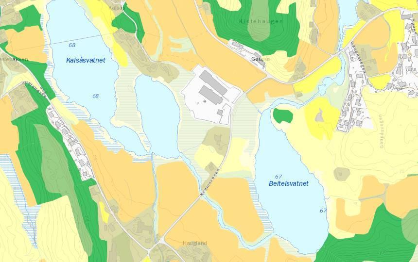 Arealbruk: Planområdet ligger i et område med mye fulldyrket og overflatedyrket jord. Mot Beitelsvannet i øst og Kalsåsvatnet i vest grenser planområdet mot skog med lav bonietet.