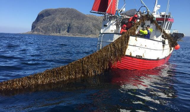 Bærekraftig næringsutvikling og lokal verdiskaping Norges Vels arbeid i Norge er blant annet rettet mot dagens utfordringer innenfor klima og matproduksjon.