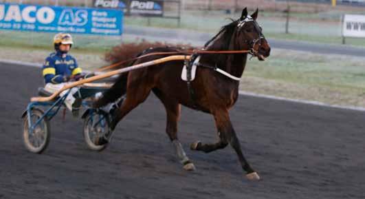 Vinnere rammen 13.1.2015: 1.løp: Spikspretten eier Tor Aandstad, Trøgstad. Oppdretter ahn Schou, Bjørkelangen. Trener og kusk Cato Antonsen. 2.løp: Millglow eier Stall Flying.