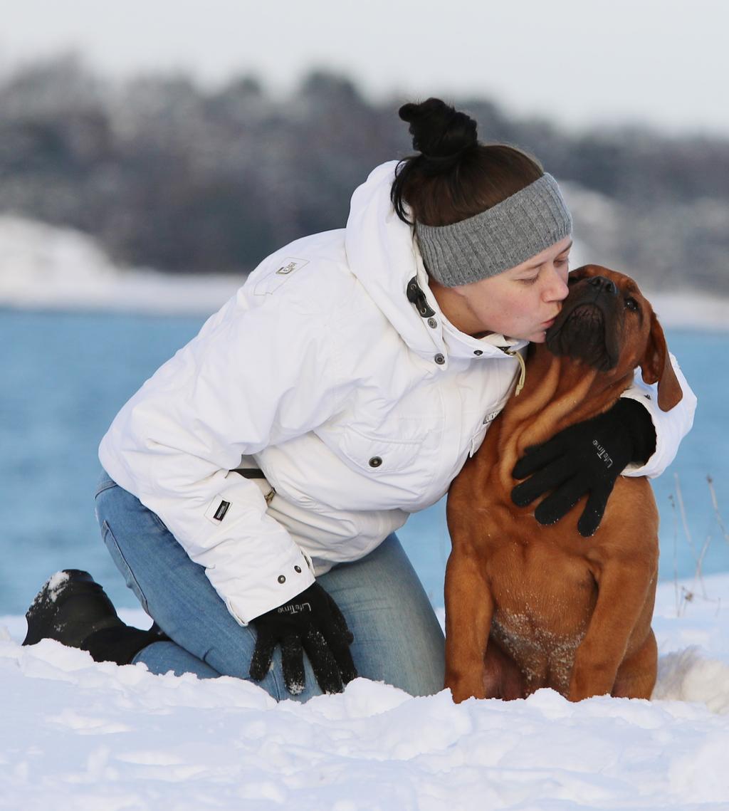 Foto: Vibeke Brath Norsk Kennel Klub Nils Hansens vei