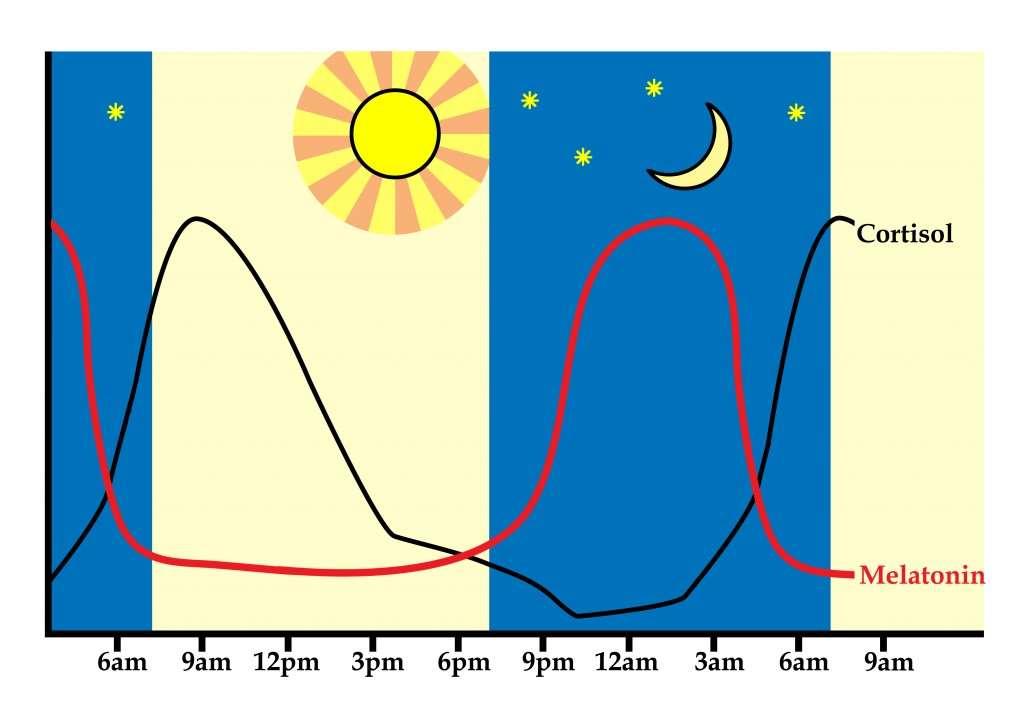 Kortisol og melatonin Figur (http://www.thepaleomom.com/2014/02/regulating-circadian-rhythm.