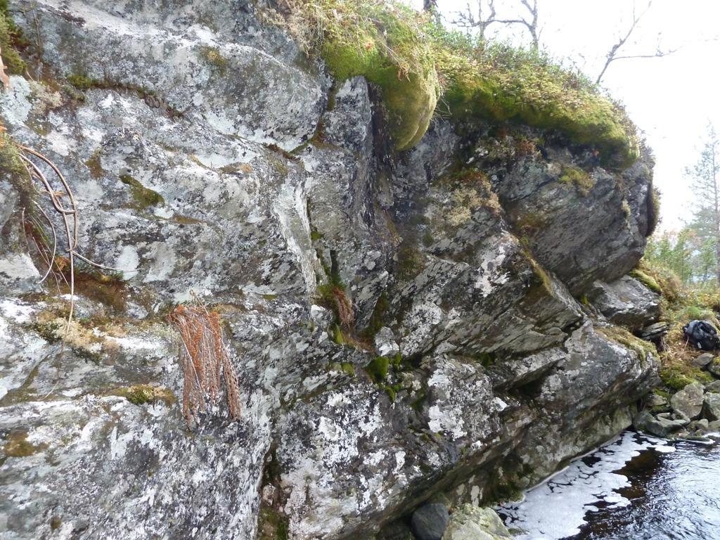 På befaringen den 13. oktober 2010 ble det registrert en bekkekløft og bergvegg (F09) i Grimeelvi, mellom høydekote 540 og 480 m.