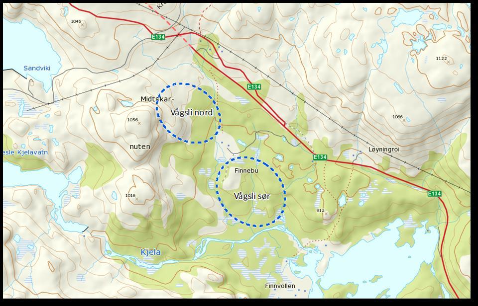 3.4. Skildring av deponiområda 3.4.1 Vågsli sør Området kalla Vågsli sør ligg 300-400 m vest for dagens E134 og nordvest for Løyningvatn. Området ligg mellom Finnebu og Kjeleåi på om lag 860 887 moh.