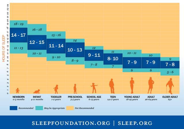 1.4.4 Søvnregulering For at spedbarnet skal klare å sovne og opprettholde søvnen gjennom flere sykluser, er søvnregulering et viktig begrep.