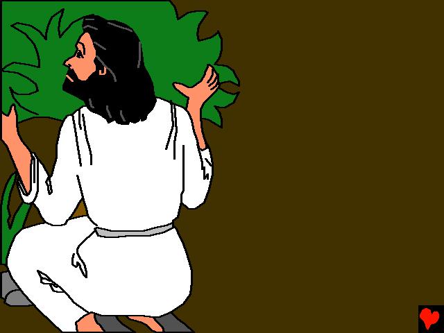 Senere den natten gikk Jesus til Getsemanehagen for å be. Disiplene som fulgte med ham sovnet alle sammen.