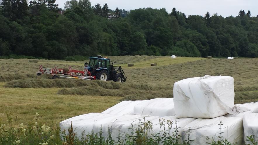 med traktor Dyrking av vinterfôr legger beslag på dyrkbar jord i Norge og