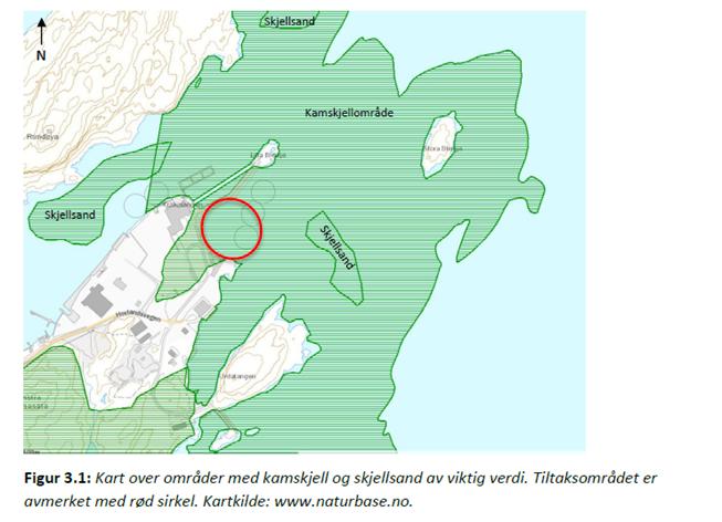 Høyring I samband med reguleringsplanen for tiltaket er det innhenta uttale frå Bergens Sjøfartsmuseum, Fiskeridirektoratet og Fiskarlaget vest.