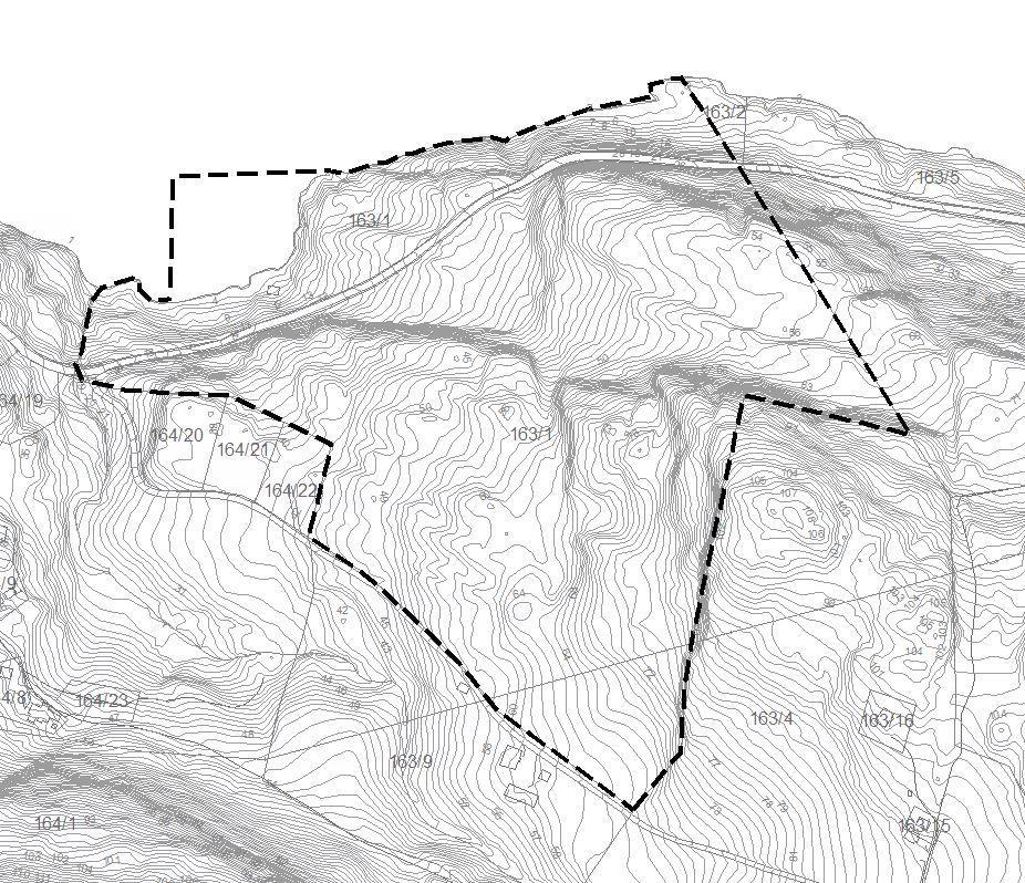 2.2 Plangrense Plangrensen følger i hovedsak eiendomsgrensen til gnr bnr 163/1 og det totale arealet innenfor planområdet er på 99 daa. Plangrense 3. RAMMER OG PREMISSER FOR PLANARBEIDET 3.