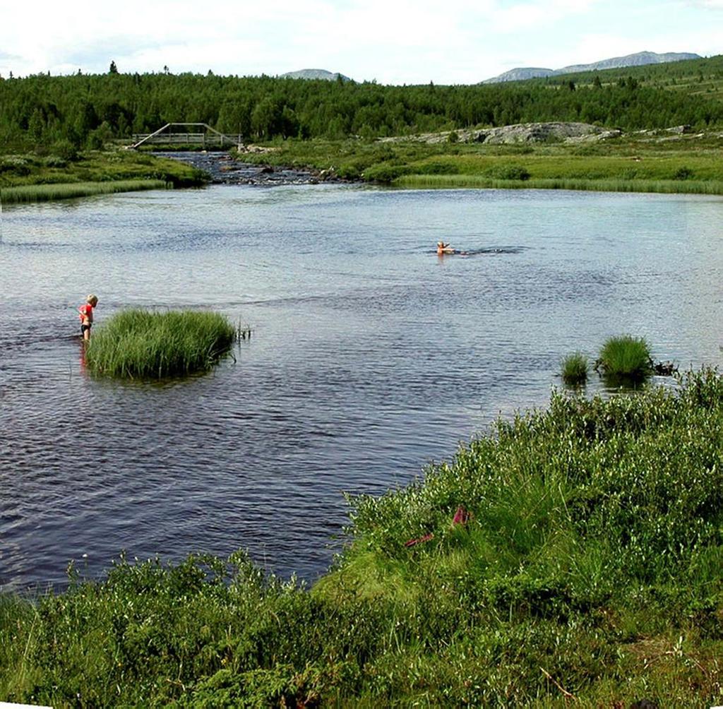 vassdrag og grunnvatn, samt