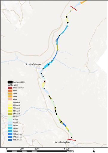 Segment 3 Gyteareal 2017 Figur 16: Habitatkart med vektet