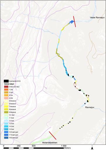 Vandrinsgbarriere i Ravnajuv Segment 5 Vannføringsavhengig vandringshinder (Fig.