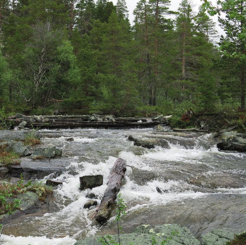 12.7 Vannets tilstand i Hedmark Alt vann i Hedmark har i forbindelse med vannforvaltningsarbeidet etter vannforskriften blitt kartlagt og fått en miljøtilstand.