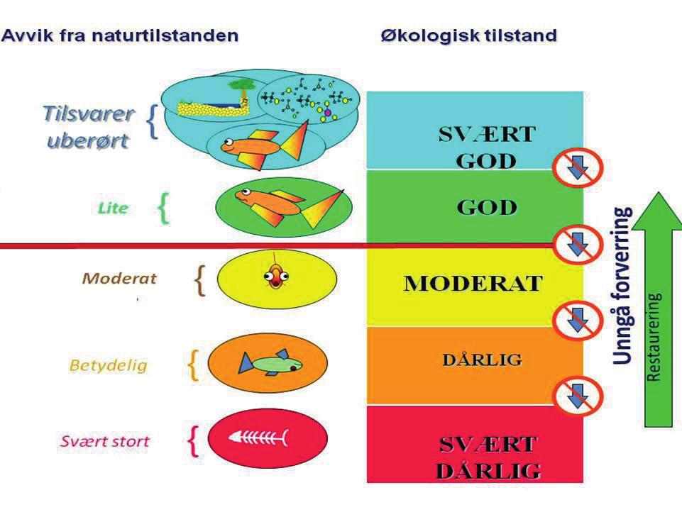 Vann i risiko Tilstand Ingen risiko Mulig