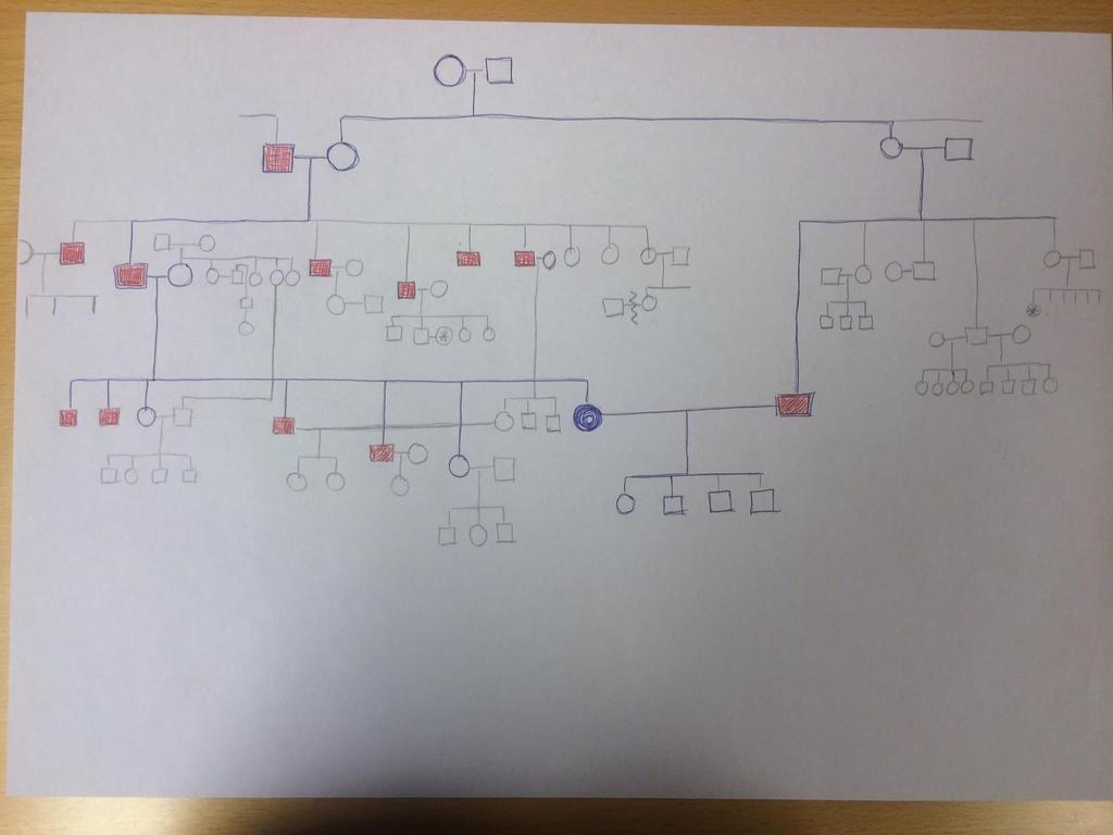 Genogram