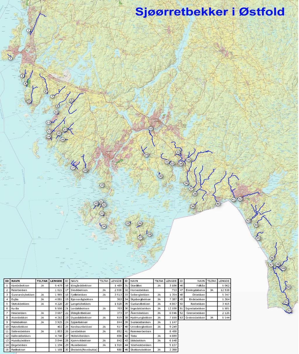 Kambobekken Moss Reierbekken Moss Gunnarsbybekken Rygge Evjåa Rygge Støtvikbekken Rygge Kureåa Rygge Heiabekken Råde Akersbekken Råde Møllebekken Råde Røtnebekken Saltnesbekken /Råde Kallerødbekken