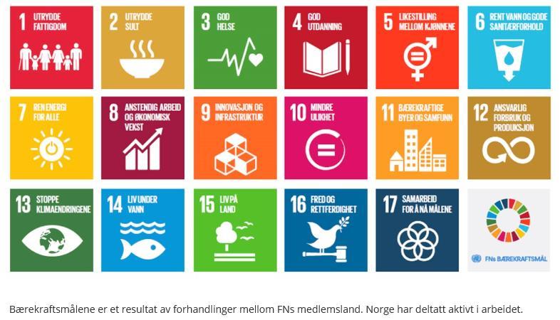 Illustrasjon forsidebilde: ringene rundt tema viser hvilke av FNs bærekrafts mål som HAV kan