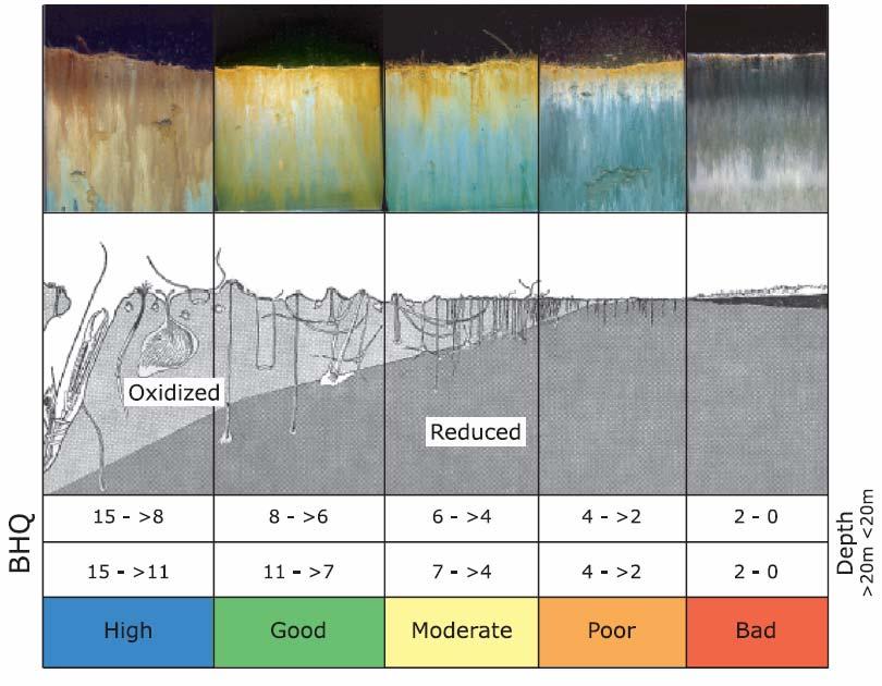 Teknikken kan sammenlignes med et omvendt periskop som ser horisontalt inn i de 20 øverste cm av sedimentet.