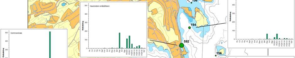 Etter risikoanalysen på de enkelte stasjonene ble hele området inndelt i 8 mindre områder (Verneområdet, Kommunekaia, Smalsundet, Lundevågen, Naudodden småbåthavn, Byfjorden, søndre- og nordre havn)