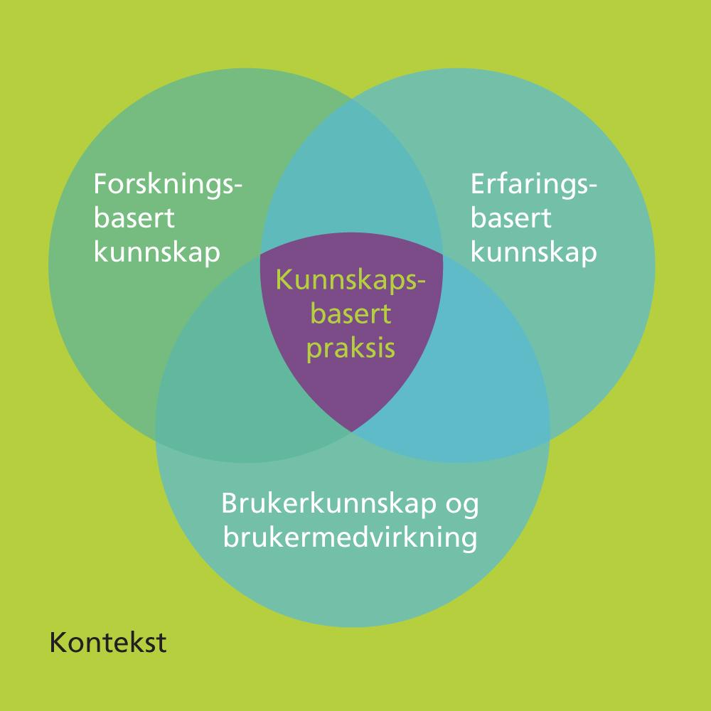 Systematiske oppsummeringer Kritisk gjennomgang av litteratur Kan dekke et stort omfang av kunnskap og enkeltstudier Gir mulighet for meta-analyser samlet effektestimat for tiltake(ne) Krav til