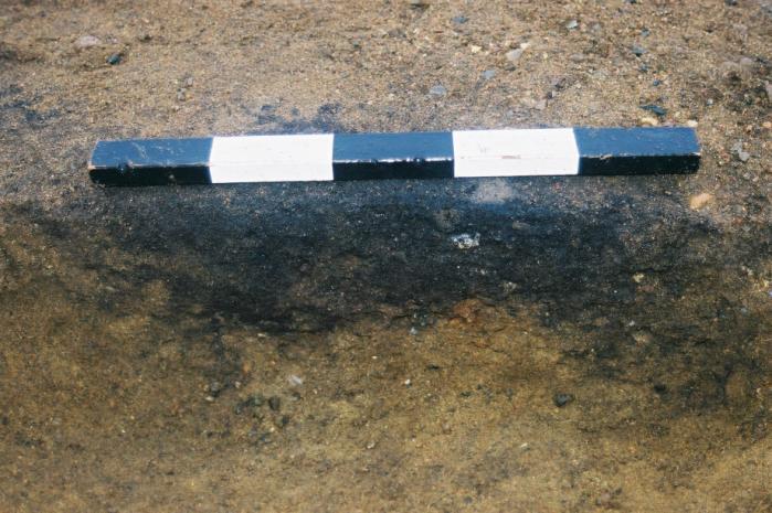 S76 Ildsted En oval struktur med målene 31 x 56 cm, og var 15 cm dyp. Massene skilte seg fra undergrunnen som en mørk, svart kullholdig humusblandet sand.