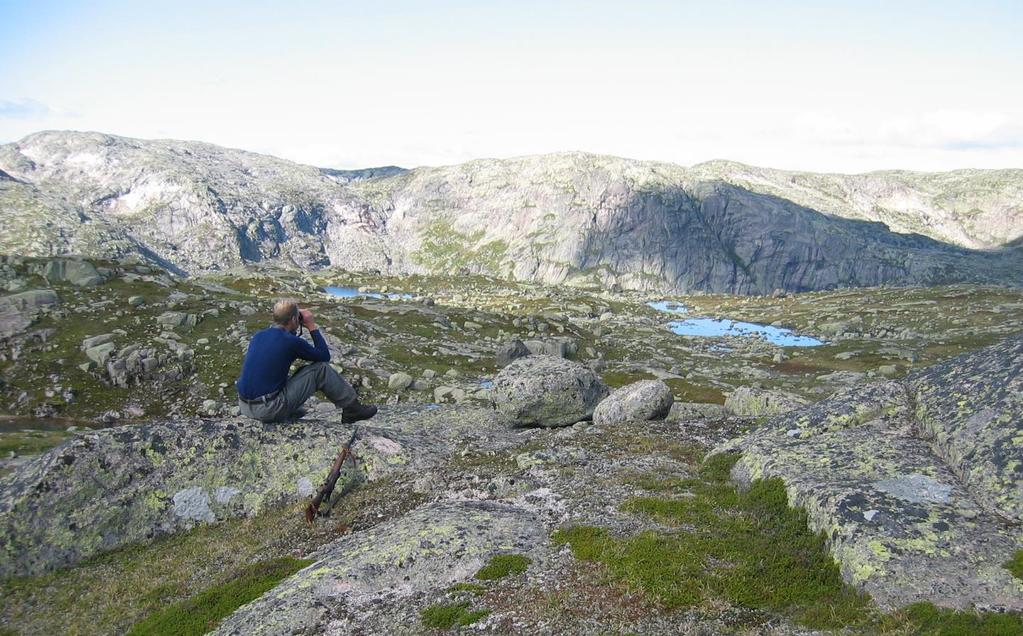 Ekspertgruppa drøftet også muligheter til å sette kvalitetsnorm på sjølve villreinforvaltningen Kvalitet på den regionale private forvaltning; rettighetsdeltakelse, valdstruktur & fellingsprosent,