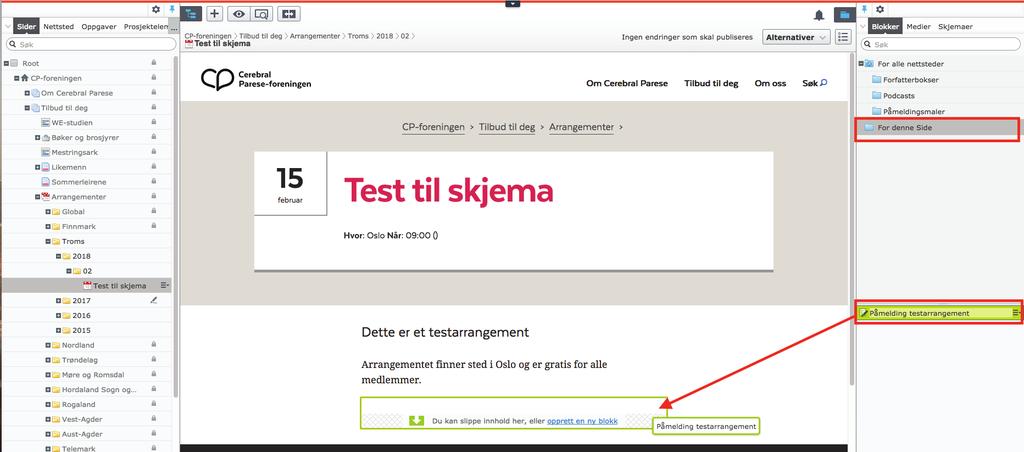 5. PUBLISERING OG TESTING AV SKJEMA Publisering av skjemaet Når skjemaet er klart,