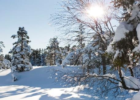 a: 50 km preparerte skiløyper 4 km lang lysløype Godt merkede sommerstier Fantastisk stjernehimmel grunnet lite lysforurensning Kjent bærterreng Bade- og