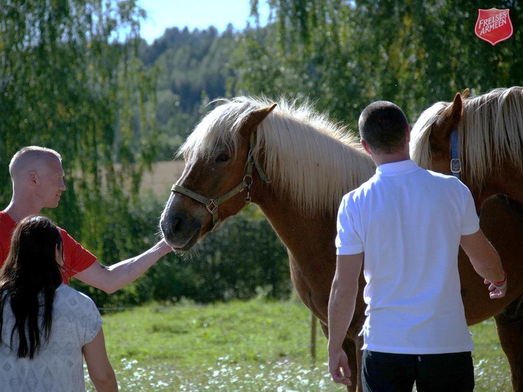 Frelsesarmeen ser på mennesket som en helhet med fysiske, psykiske, åndelige og sosiale behov.