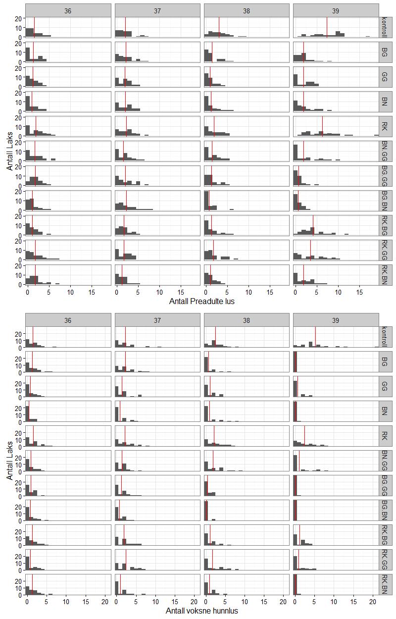 A3. Histogram som viser fordeling av antall lus og gjennomsnitt som rød