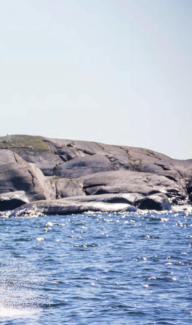 BÅTENTUSIASTENES FAVORITT Yamarin Cross har funnet sin plass i hjertet og hjernen til båtentusiaster.