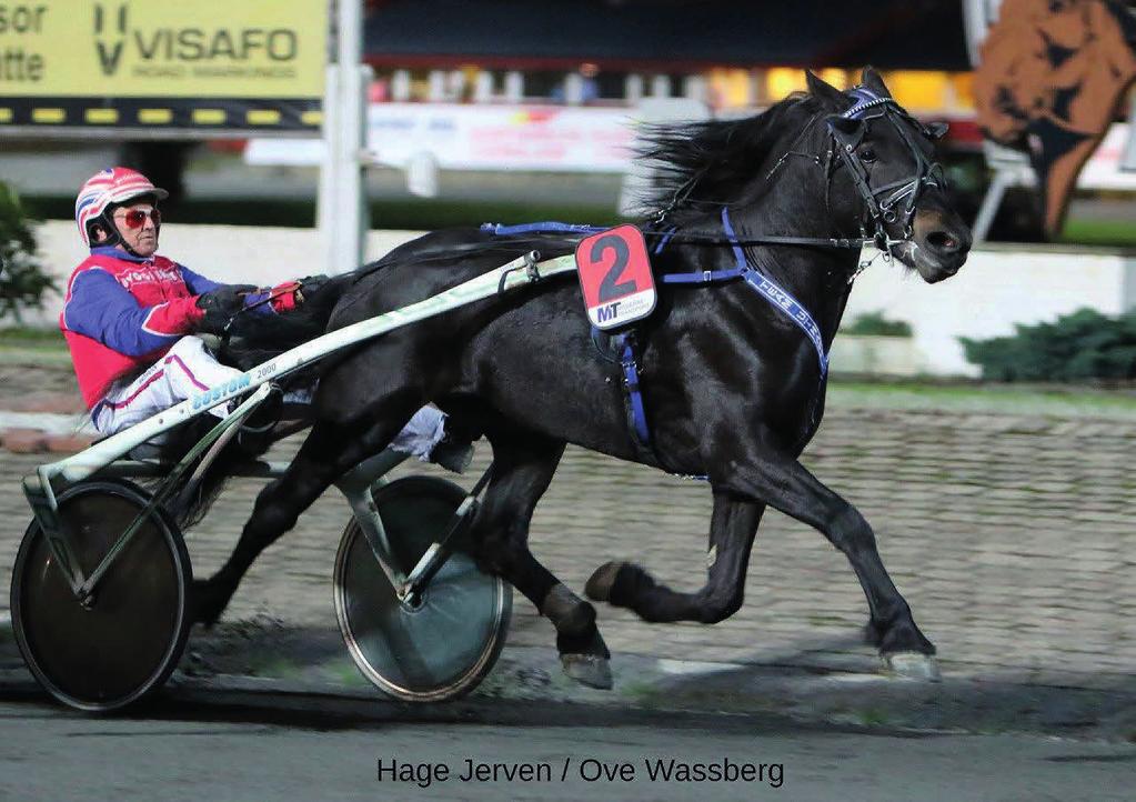 3-ÅRINGSLØP MALERMESTER ERIK