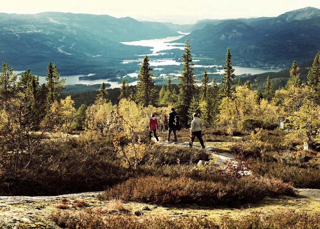 20 Kilder Kilder Telemark fylkeskommune: Berekraftige Telemark regional planstrategi 2016 2020 Folkehelsa i Telemark 2016 oversikt over helsetilstand og påvirkningsfaktorer Ung i Telemark 2015