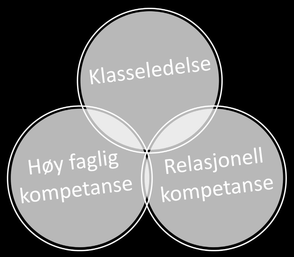 har et felles ansvar for skoleutviklingen i kommunen. Vi ønsker lærere med god faglig kompetanse, gode ferdigheter i klasseledelse og som bidrar til relasjonsbygging overfor elevene.