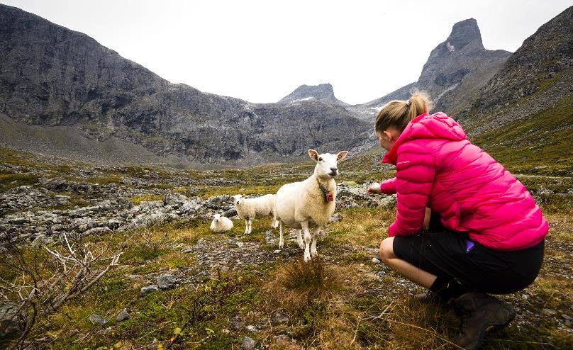 - frå både sjø og land.