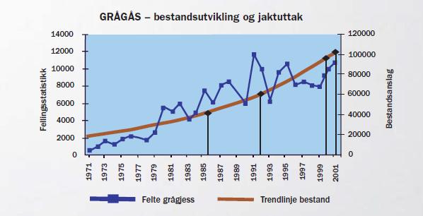 Figur 11. Figuren viser bestandsutviklingen for grågås i Norge mot fellingsstatistikken.