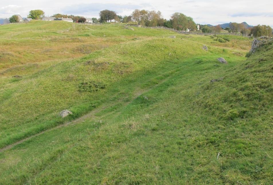 Søndre del av naturbeitemarkslokaliteten ved Kongshaugen,