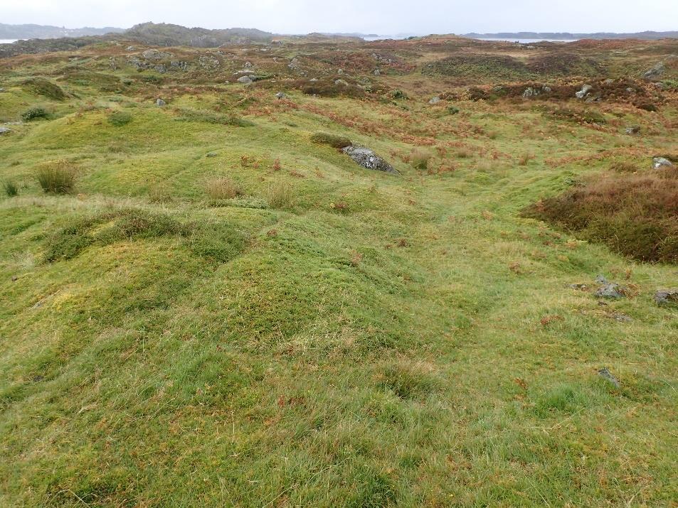 Et område med naturbeitemark ved Storhaugen