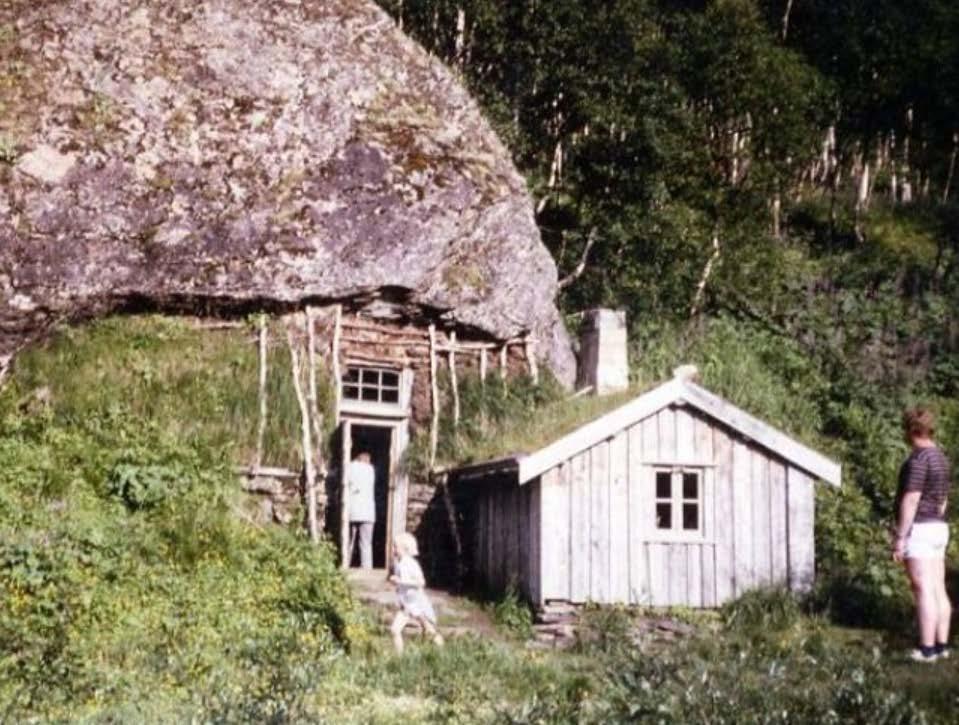 Minihus,