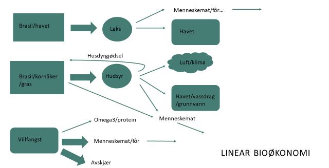 LINEAR VS SIRKULÆR BIOØKONOMI