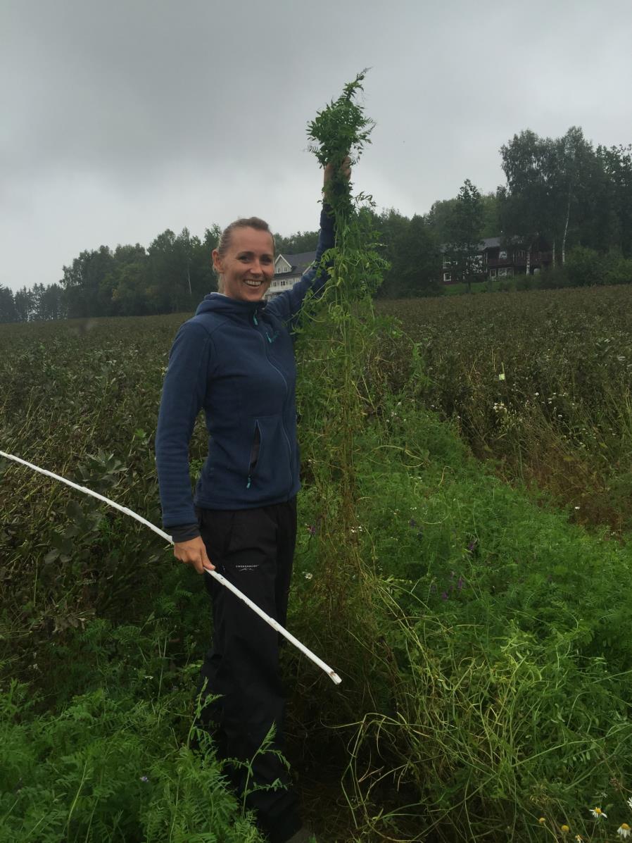 landbruksrådgiver NLR