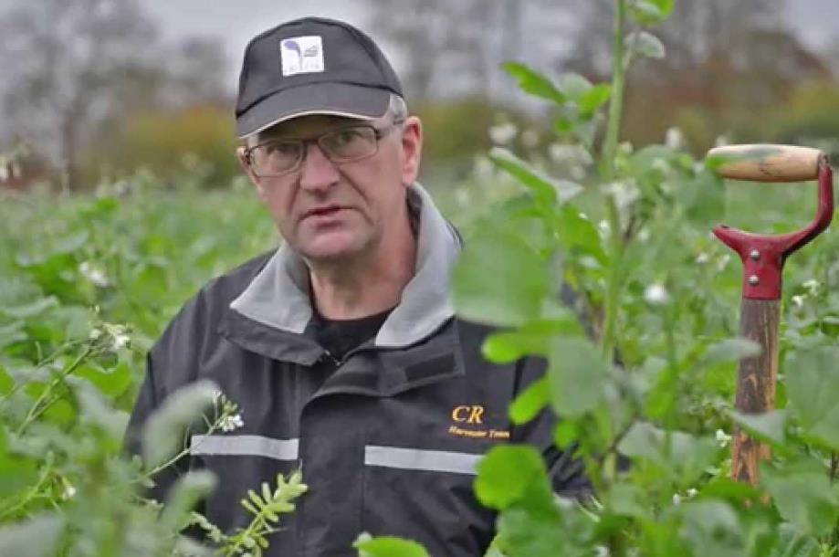 50 % N i vårbygg ved vellykket fangvekst Redusert plantevernforbruk, både på ugras og