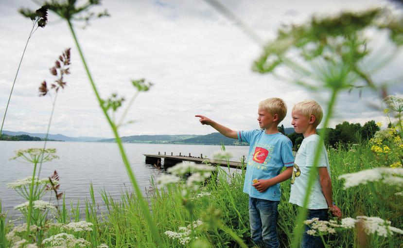 Resultatene tyder på at folk i Ringerike og Jevnaker har foretrukket å redusere pendlingen når det har vært flere jobber i kommunen.