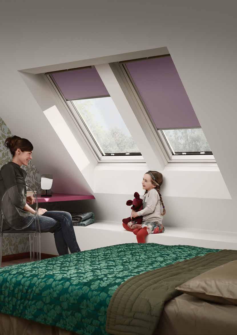 2018 VELUX 1.