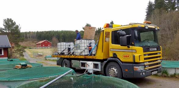 Grom ørret på Varaldskogen Søndag 14. Mai satte Kongsvinger Jeger- og Fiskerforening ut 800 stk fine ørret fra oppdrettsanlegget på Bjørkelangen. Disse ble fordelt på de 6 mest populære vannene.